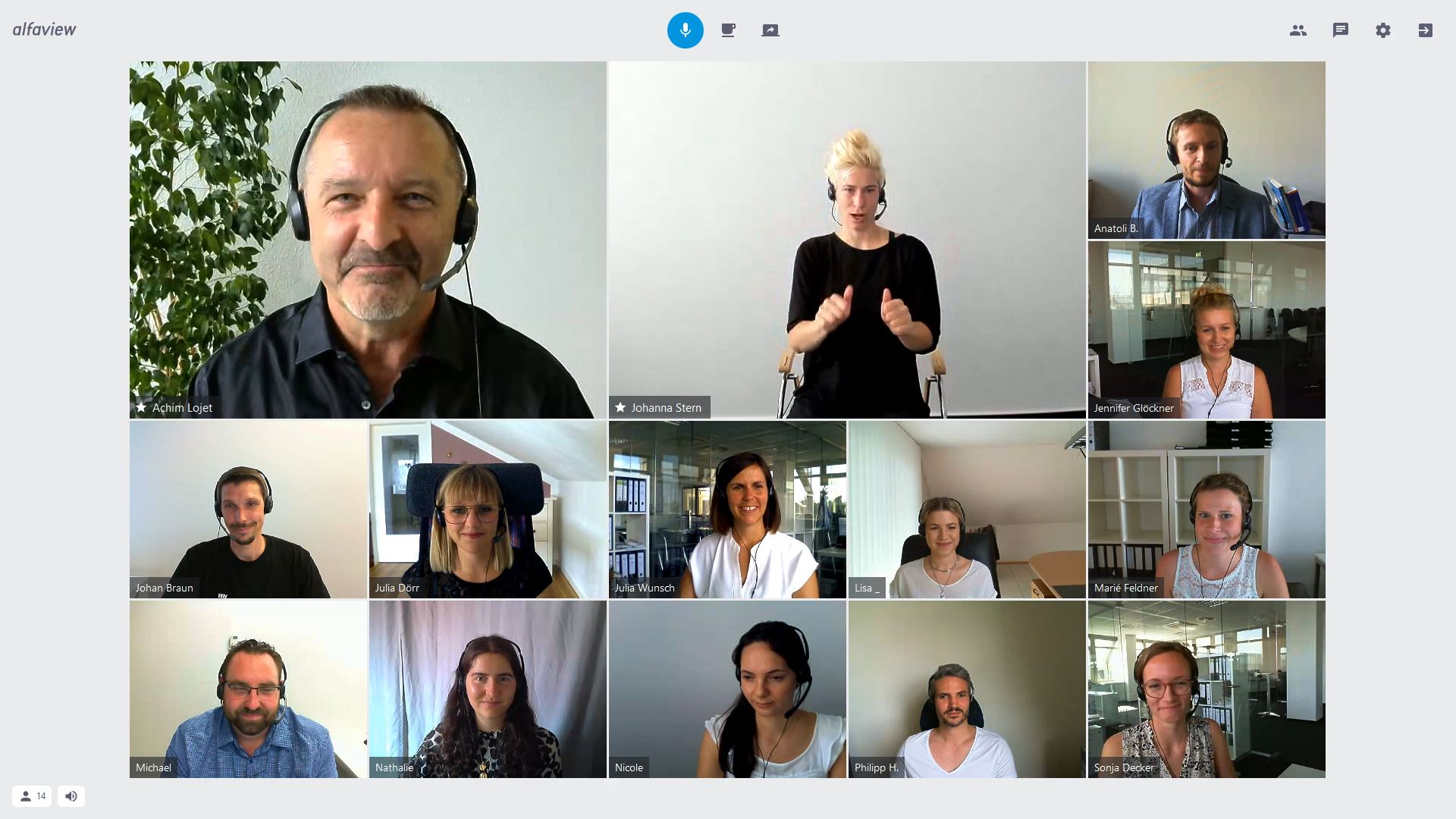 Video conference with a speaker and a sign language interpreter